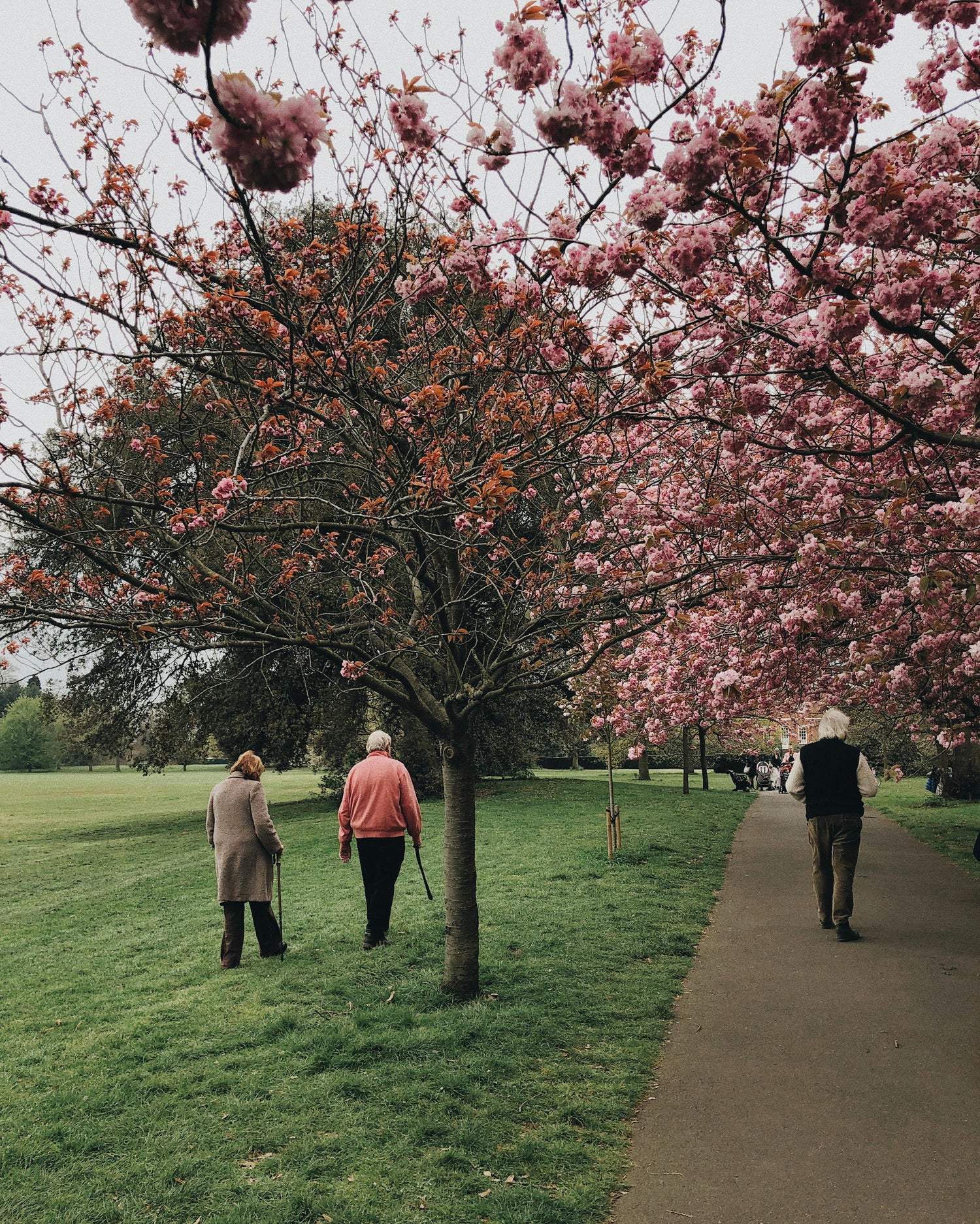 Senior Home Care in Dayton